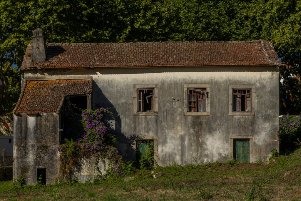 An abandoned rustic house with overgrown vines in a sunlit rural setting.